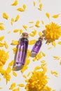Transparent bottle with dropper pipette with lilac serum or essential oil with beautiful yellow flowers. Royalty Free Stock Photo