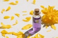 Transparent bottle with dropper pipette with lilac serum or essential oil with beautiful yellow flowers. Royalty Free Stock Photo