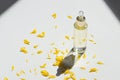 Transparent bottle with dropper pipette with serum or essential oil with beautiful yellow flowers. Royalty Free Stock Photo