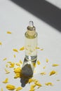 Transparent bottle with dropper pipette with serum or essential oil with beautiful yellow flowers. Royalty Free Stock Photo