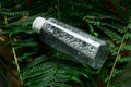 Transparent bottle of micellar water on natural fern background.