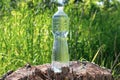 Transparent bottle with water on a tree stump in the grass at the summer, thirst quencher concept. Water balance maintained in hot