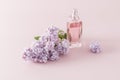 A transparent bottle of women`s perfume, spray or water on a pink background and a branch of fragrant lilacs. template,