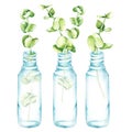 Transparent bottles with eucalyptus leaves. Watercolor illustration. Isolated on a white background.
