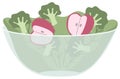Transparent bowl with a salad. Broccoli, lettuce and sliced apples in a plate vector illustration