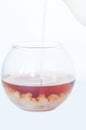 Transparent bowl with tea on an isolated background in which pour a thin trickle of milk