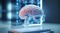 a transparent brain model on a table