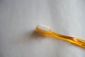 Transparent bright orange toothbrush with white bristle