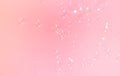 Transparent clear soap bubbles float on pink background Royalty Free Stock Photo