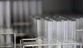 Transparent clear test tubes on racks, clean glasswares on the laboratory shelf for measuring solution or solvent in science. Royalty Free Stock Photo