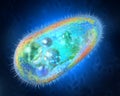 Transparent and colorful protozoa or unicellular organism Royalty Free Stock Photo