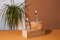 Transparent cosmetic amber glass dropper bottles staying on wooden podium near green plant. Vials with pipette caps for essential