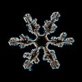 Transparent crystal snowflakes on black background