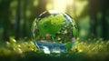 Transparent crystal sphere with continents outlines in a green forest. Grass, trees and water are reflected in the glass Royalty Free Stock Photo