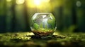 Transparent crystal sphere filled with sunlight on green grass. Planet Earth and landscape are reflected the glass globe Royalty Free Stock Photo