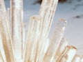 Transparent crystals grow in the desert