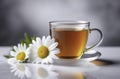 A transparent cup with chamomile tea on light white table. There are chamomile flowers nearby. Copy space, place for Royalty Free Stock Photo