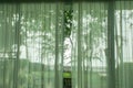 Transparent curtain at the house door with sea view and green yard Royalty Free Stock Photo