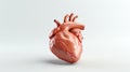 Transparent 3D Heart Model for Interactive and Informative Presentations