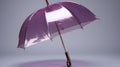 Transparent 3d Model Gallery: Purple And Pink Umbrella