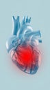 Transparent 3D Rendering of the Heart with Vascular Anomalies