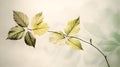 Transparent and delicate leaves over vintage cream background highly detailed.