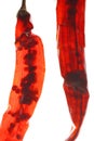 Transparent dried chili