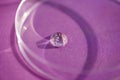 Transparent drop of cosmetic product serum gel in petri dish. Liquid texture with bubbles on purple background. Royalty Free Stock Photo