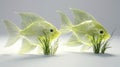 Transparent Fish with Grass in Soft Lighting Royalty Free Stock Photo