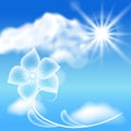 Transparent flowers in the blue sky