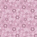 Transparent Flowers and White Abstract Circles on a Pink Backdrop.