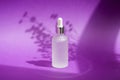 Transparent frosted glass dropper bottle with silver lid with serum or essential oil. Purple background with daylight Royalty Free Stock Photo