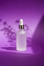 Transparent frosted glass dropper bottle with silver lid with serum or essential oil. Purple background with daylight Royalty Free Stock Photo