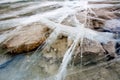 Transparent frozen river water. Rock. Chadar trek Royalty Free Stock Photo