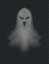 Transparent ghost. Scary halloween night ghoul. Dead spirit with angry face expression. Flying horror demon