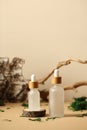 Transparent glass dropper bottles with natural serum. Tree branch, bark birch, moss on background