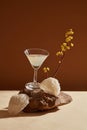 A transparent glass filled with bird nest soup placed on a stone with edible bird nests around. Royalty Free Stock Photo