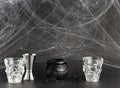 A transparent glass in the form of a skull and a fake witch\'s cauldron, on a black background with cobwebs.