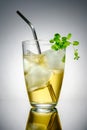 Transparent glass with ice drink, mint and metal cocktail tube, advertising photography, selective focus Royalty Free Stock Photo