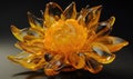 Transparent glass magnifies the bright colors of sunflower petals Royalty Free Stock Photo