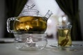 Transparent glass teapot on candle heater and Royalty Free Stock Photo