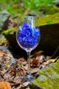 Glass, wine, flowers, nature, beautiful, summer, restaurant, day, communication