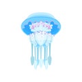 Transparent glowing jellyfish, beautiful sea creature vector Illustration on a white background