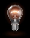 Transparent glowing light bulb on a dark background with the word MIND instead of a tungsten filament. Highly realistic Royalty Free Stock Photo