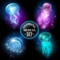 Glowing Jellyfish Medusa Set poster