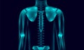 Transparent human body anatomy background lighting with hand shoulder hip chest backbone, xray tone style. illustration