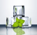 Transparent ice blocks with mint