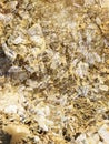 transparent ice crystals in golden sand