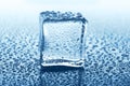 Transparent ice cube with reflection on blue glass with water drops Royalty Free Stock Photo