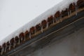 Transparent icicles hanging from roof at cold winter day, weather concept Royalty Free Stock Photo